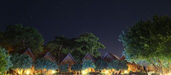 Woodline Hotel