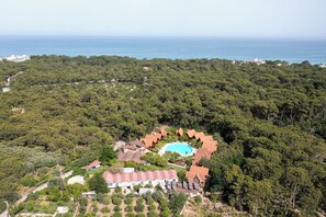 An aerial view of a resort with a swimming pool surrounded by buildings, set in a forested area with a view of the sea. - Woodline Hotel (Kemer)