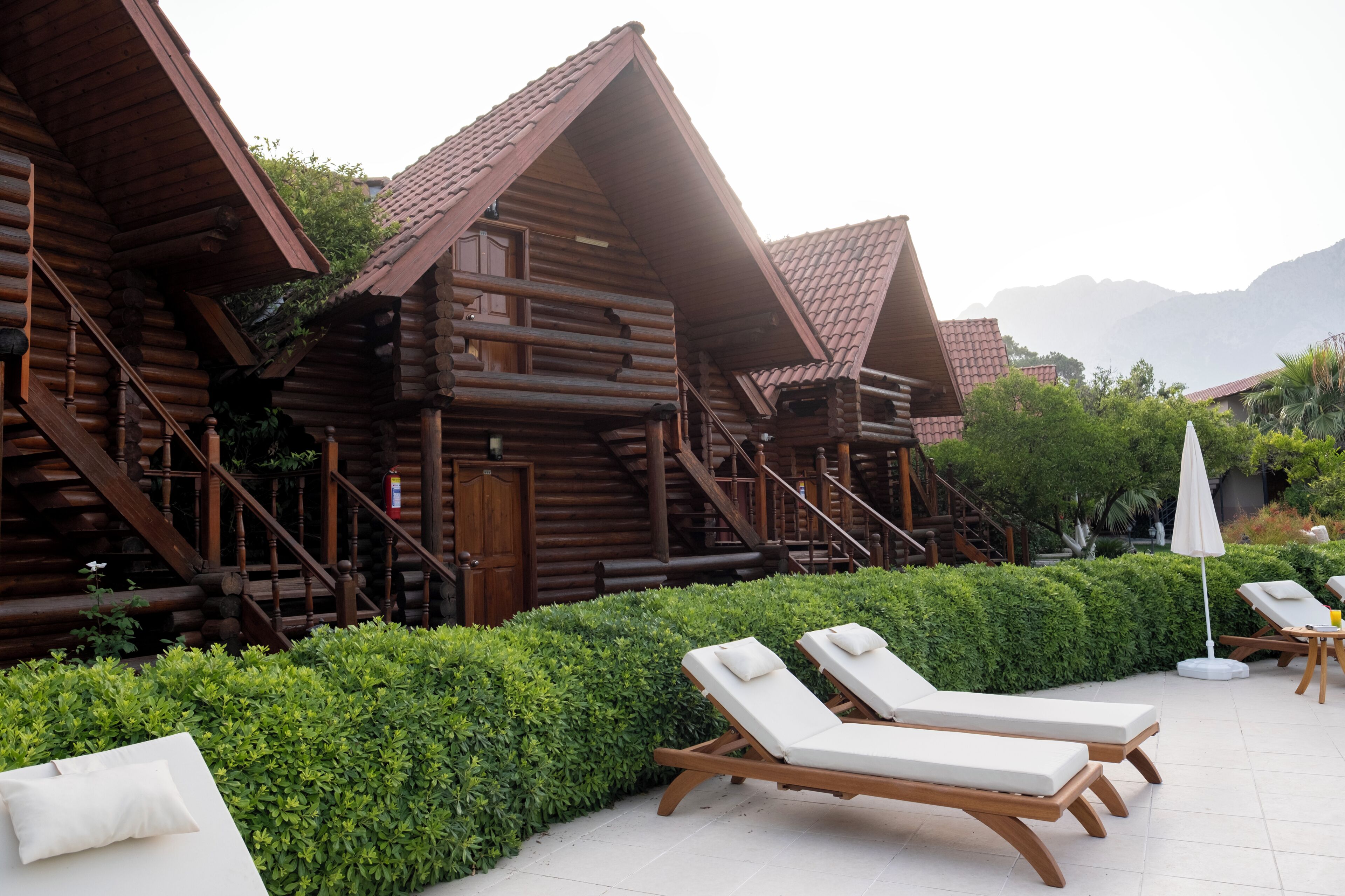 Standart Tree House