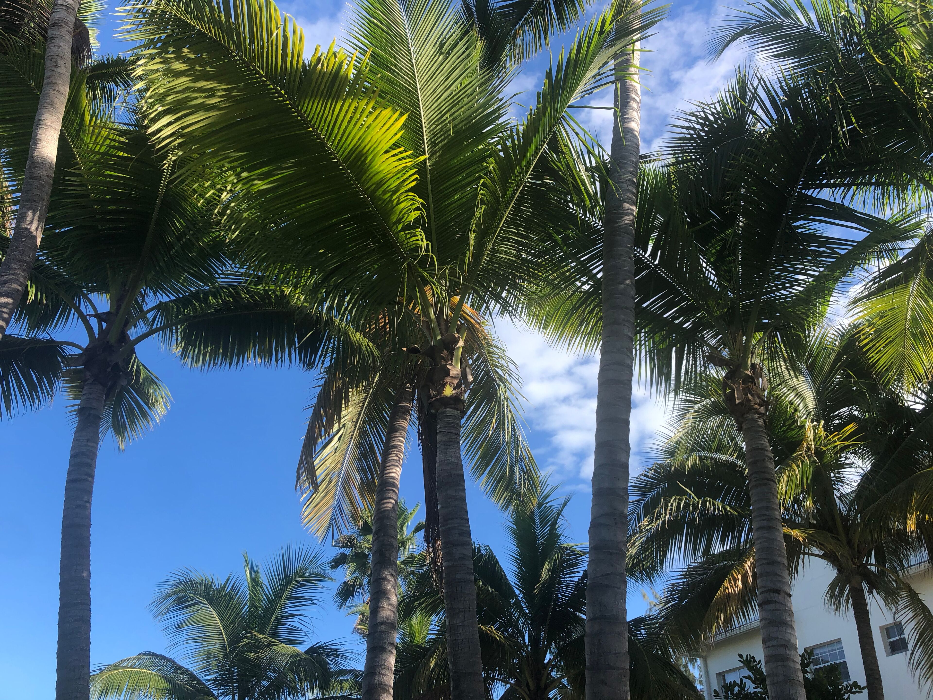 South Fleetwood Grace Bay