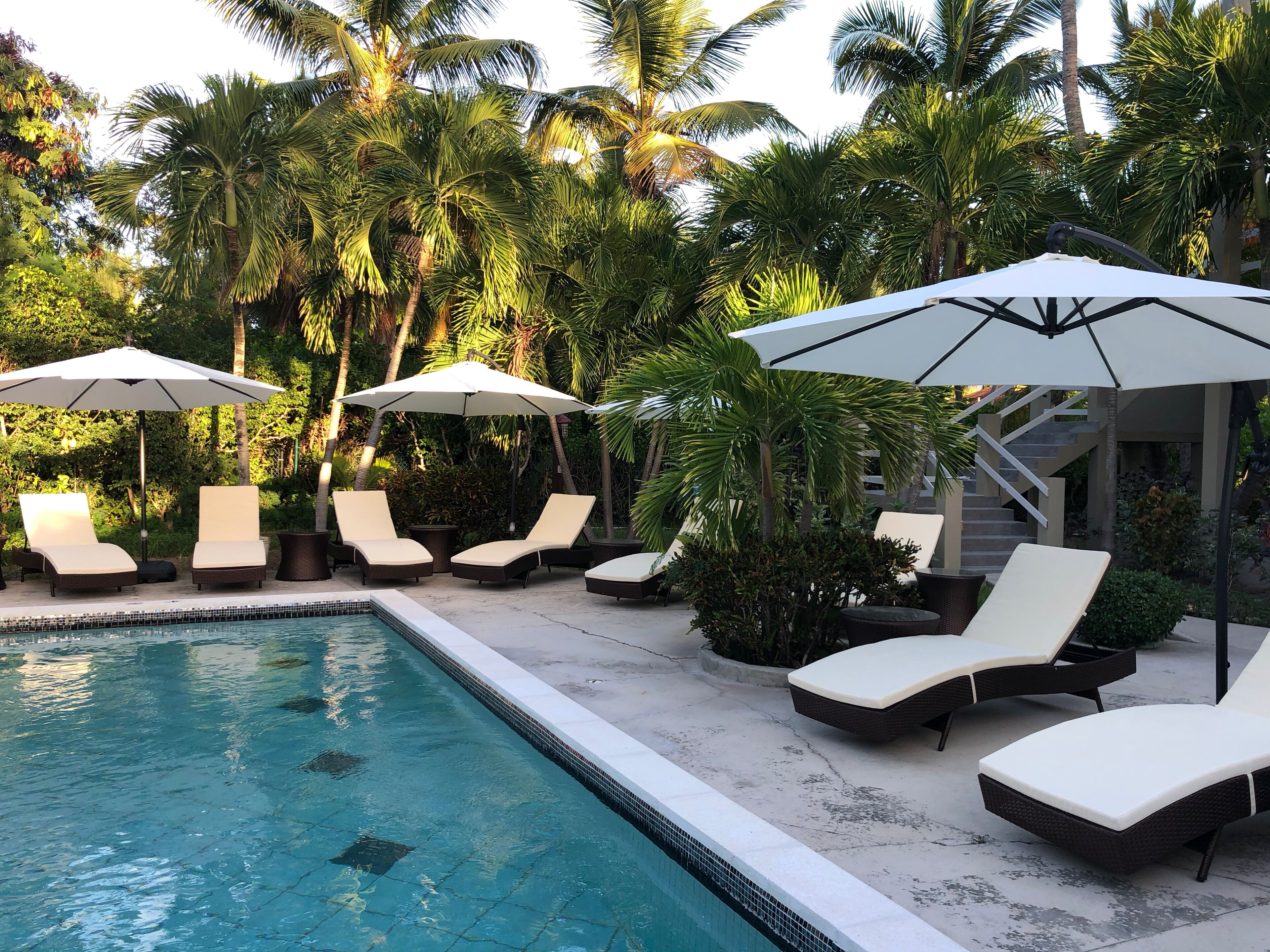 Alberca al aire libre 