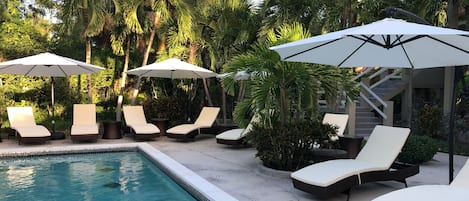 A poolside area with lounge chairs and umbrellas, surrounded by palm trees.