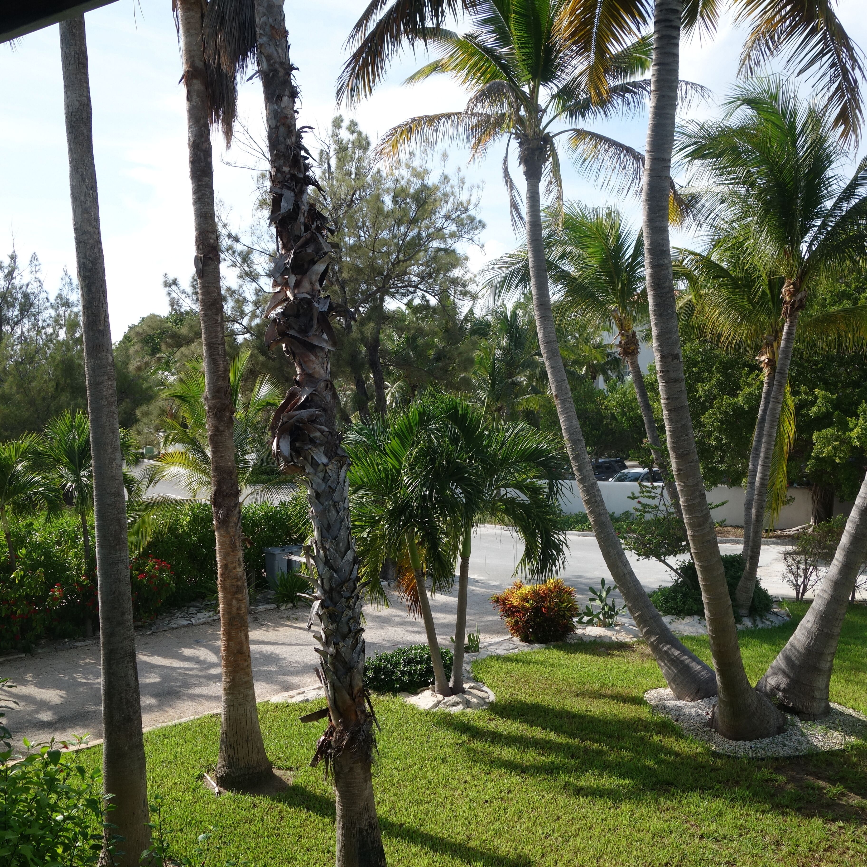 واجهة المنشأة