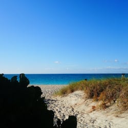 Playa en los alrededores, playa de arena blanca, camastros y sombrillas