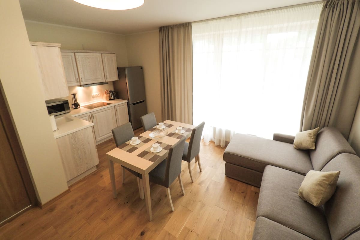 Appartamento Luxury, 1 camera da letto, balcone | Soggiorno | TV a schermo piatto 32 pollici con canali digitali, TV