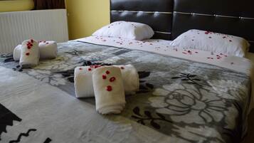 Desk, free cribs/infant beds, rollaway beds, free WiFi