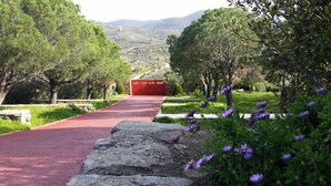A paved pathway leading to a red gate, surrounded by green trees and purple flowers. - Green Island Resort Kea (Kea)