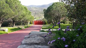 Exterior - Green Island Resort Kea (Kea)