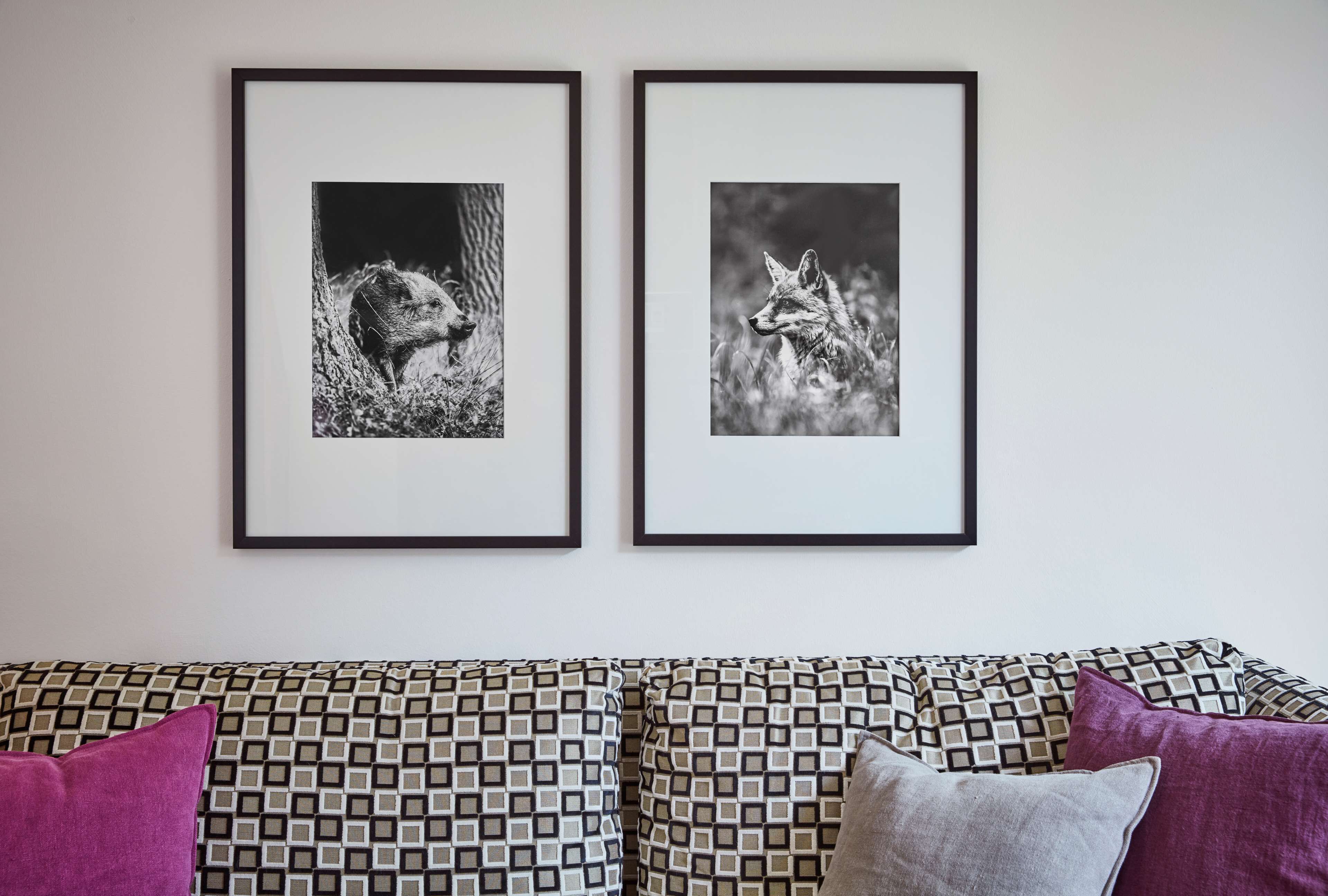 Deux photographies en noir et blanc, encadrées, représentant des animaux, sont accrochées au mur au-dessus d’un canapé à motifs, agrémenté de coussins.