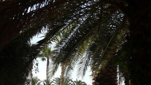 Property grounds - Mariliza Beach Hotel (Kos)