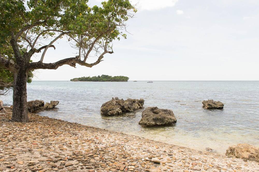 Paradise on the Rocks