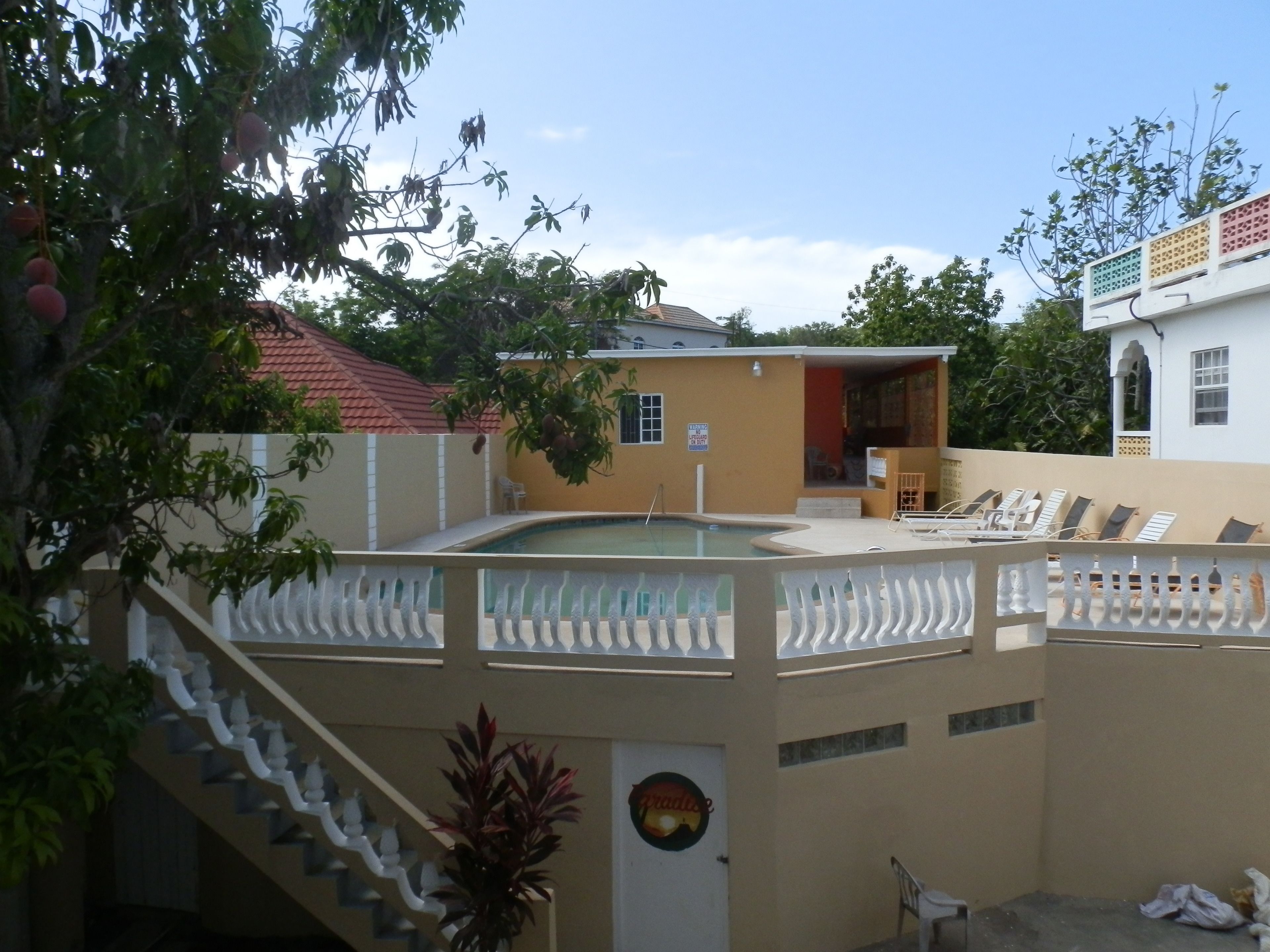 テラス / パティオ