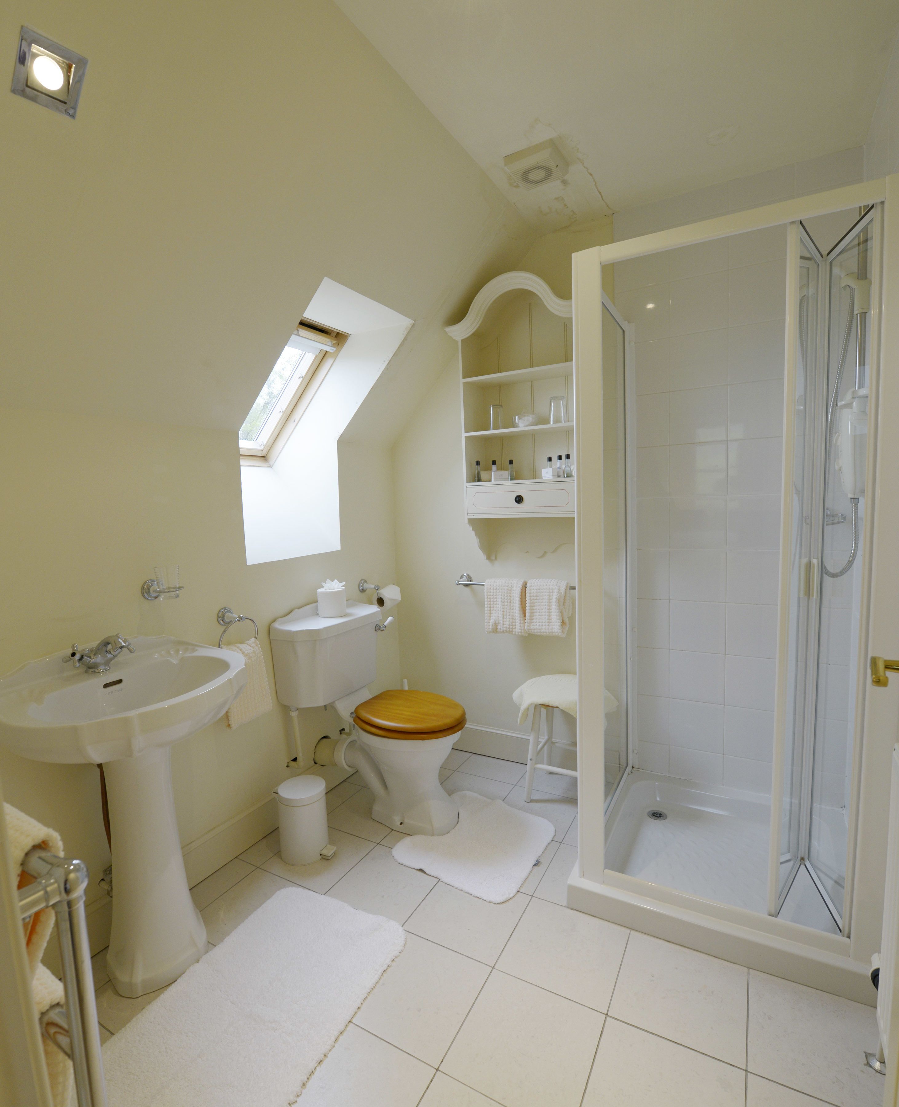 Habitación estándar con 1 cama doble o 2 individuales, 1 cama de matrimonio grande | Ducha del cuarto de baño