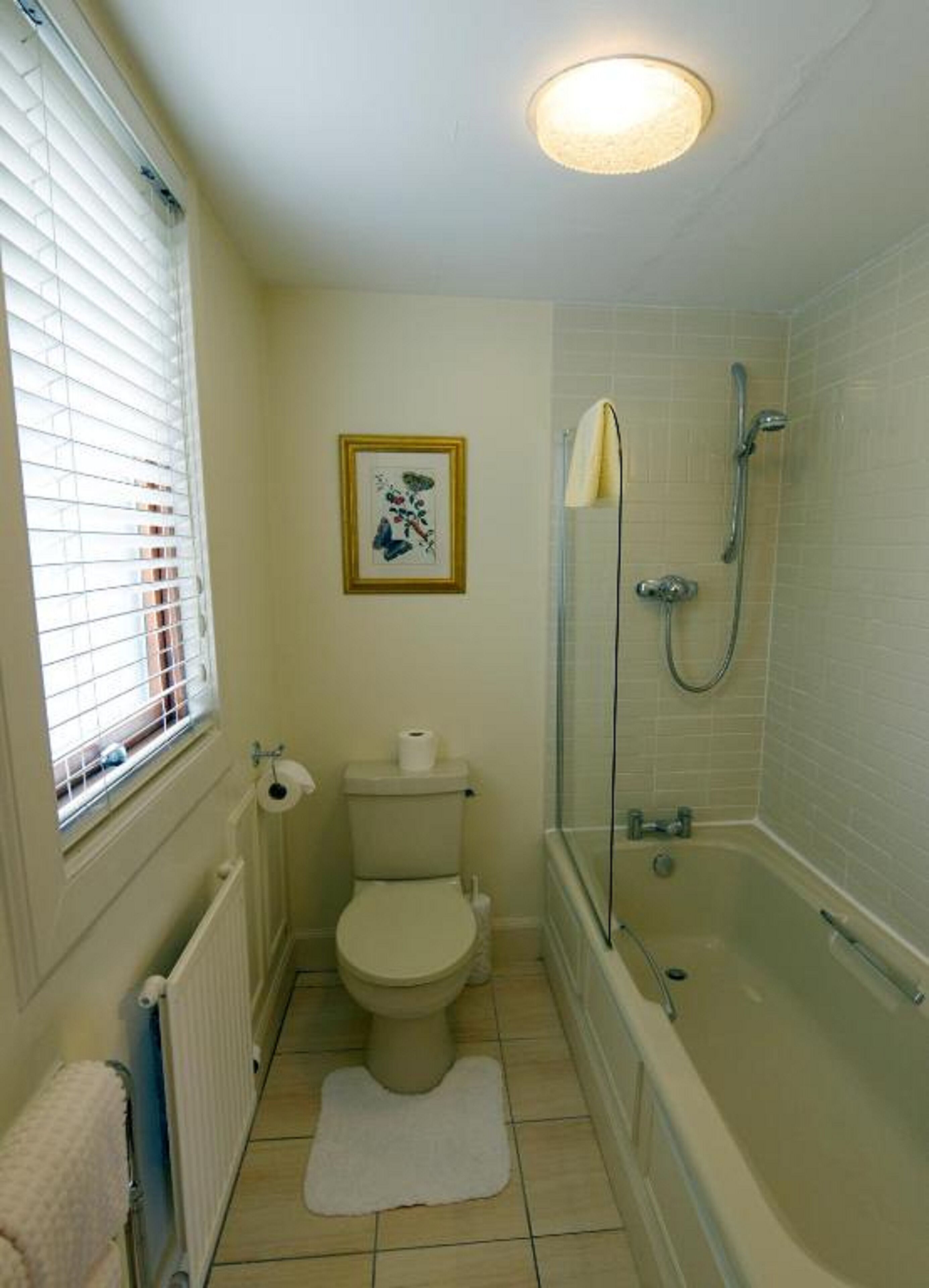 A bathroom with a toilet, a framed picture on the wall, a shower, and a radiator.