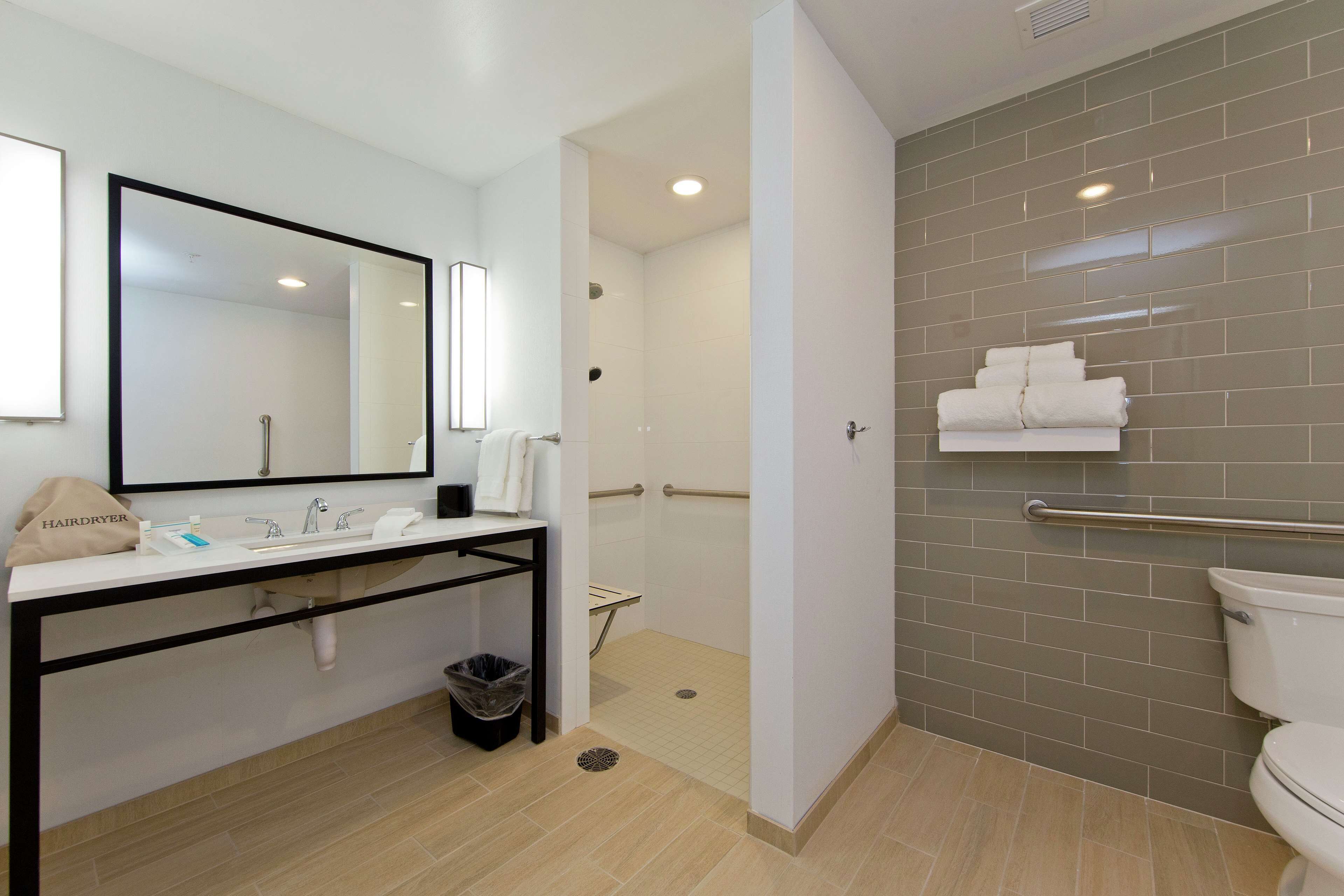 room, 1 king bed, accessible (roll-in shower) | bathroom shower