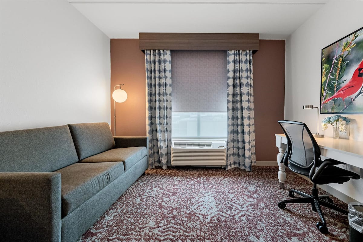 Room, 1 King Bed with Sofa bed, Non Smoking | Living area