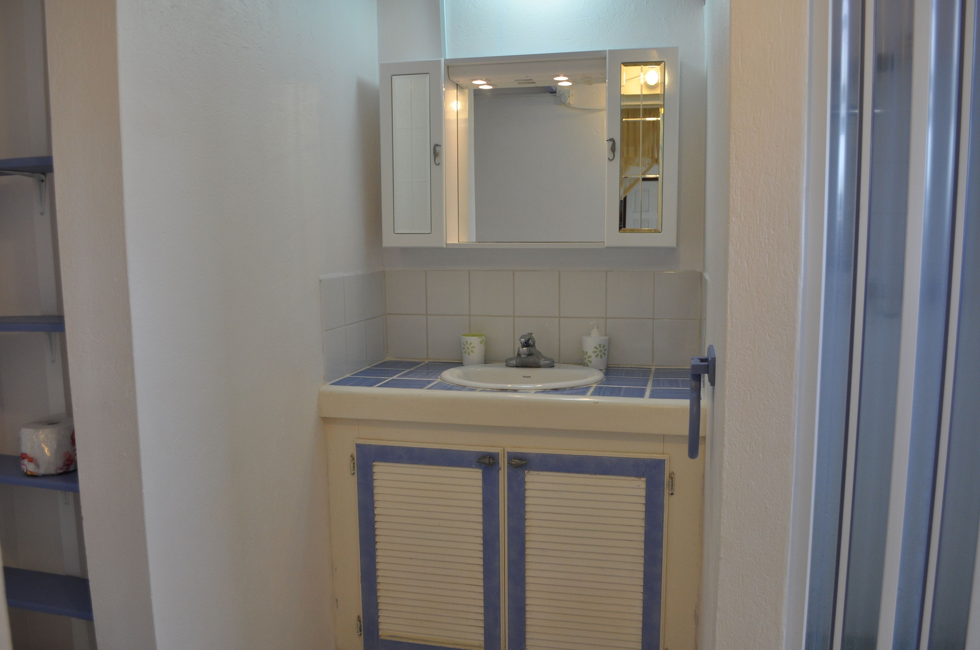 studio, garden view (white coconut) | bathroom | shower, rainfall showerhead, hair dryer, towels