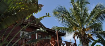 White Coconut Studio