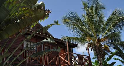 White Coconut Studio