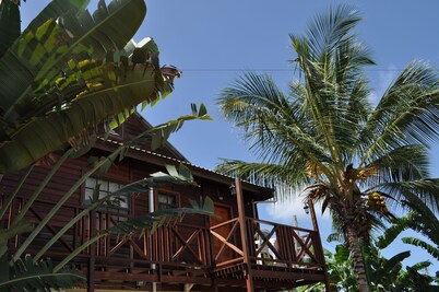 White Coconut Studio