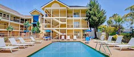 Outdoor pool, pool loungers