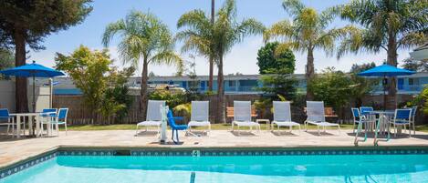 Outdoor pool, pool loungers