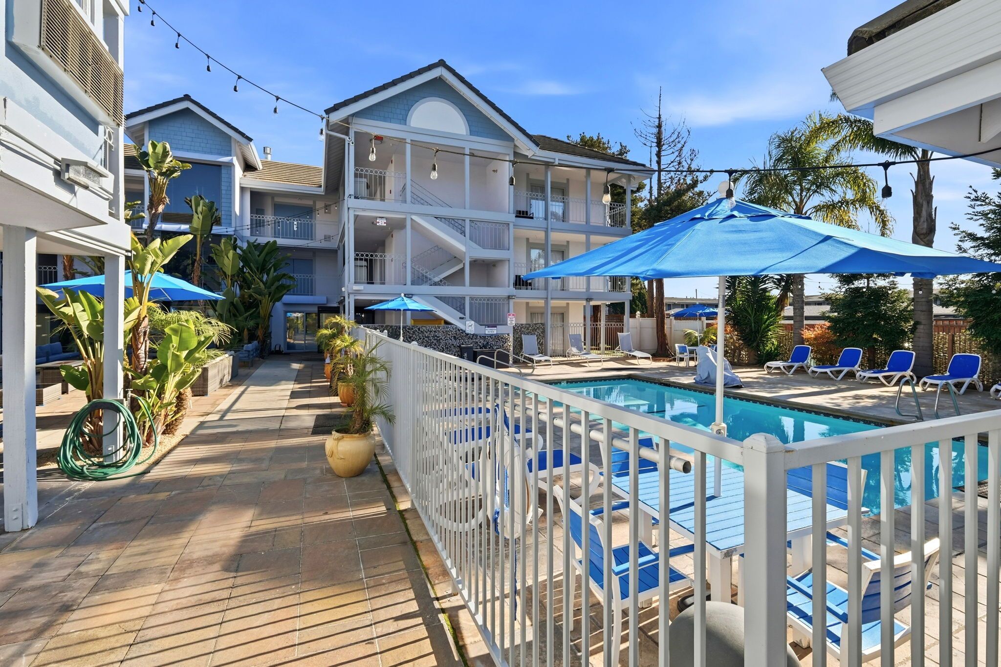 Outdoor pool, pool loungers
