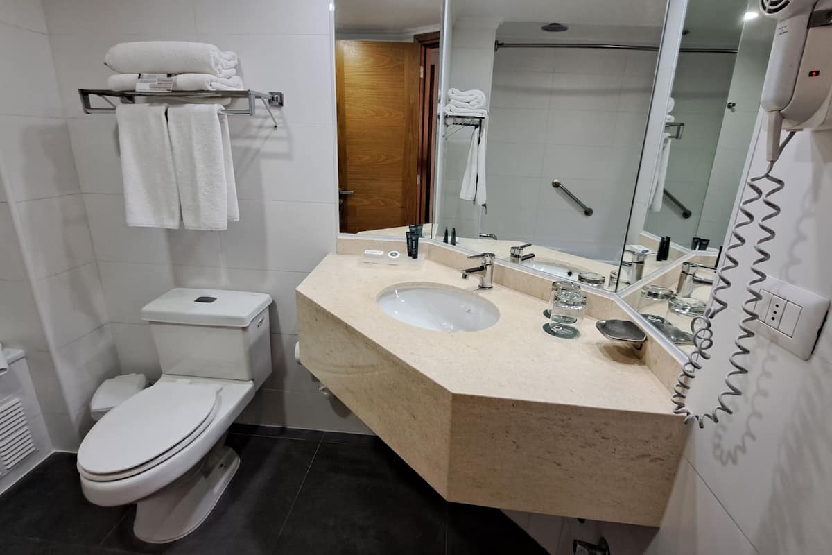 combined shower/bathtub, free toiletries, hair dryer, towels