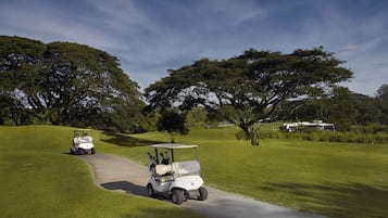 A golf cart on a well-maintained golf course with lush green grass and large trees.