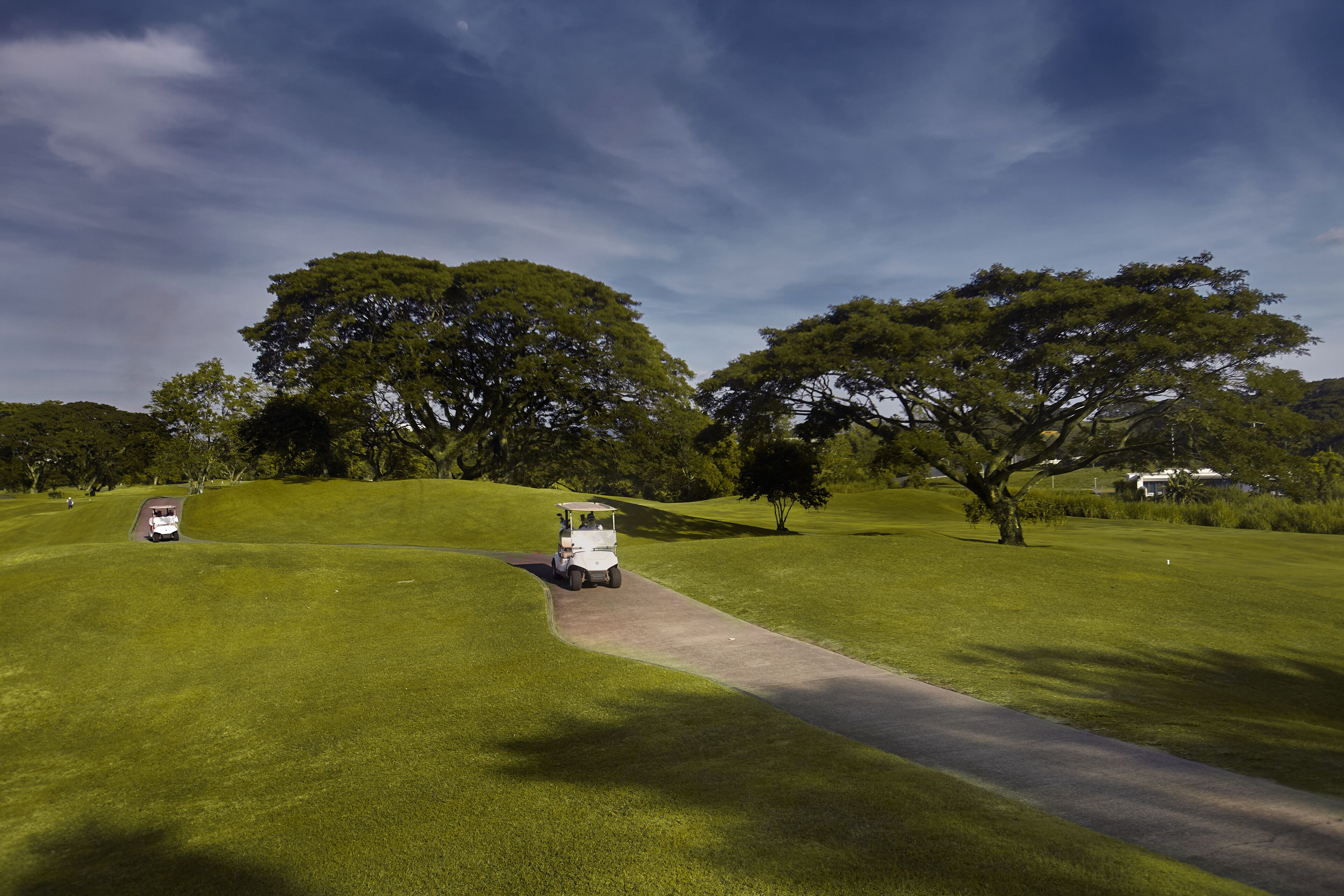A golf course with a golf cart on a well-maintained fairway, surrounded by lush green grass and large trees.