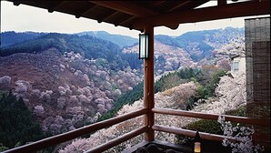 Una habitación japonesa tradicional con vistas a flores de cerezo y un estanque de piedra.