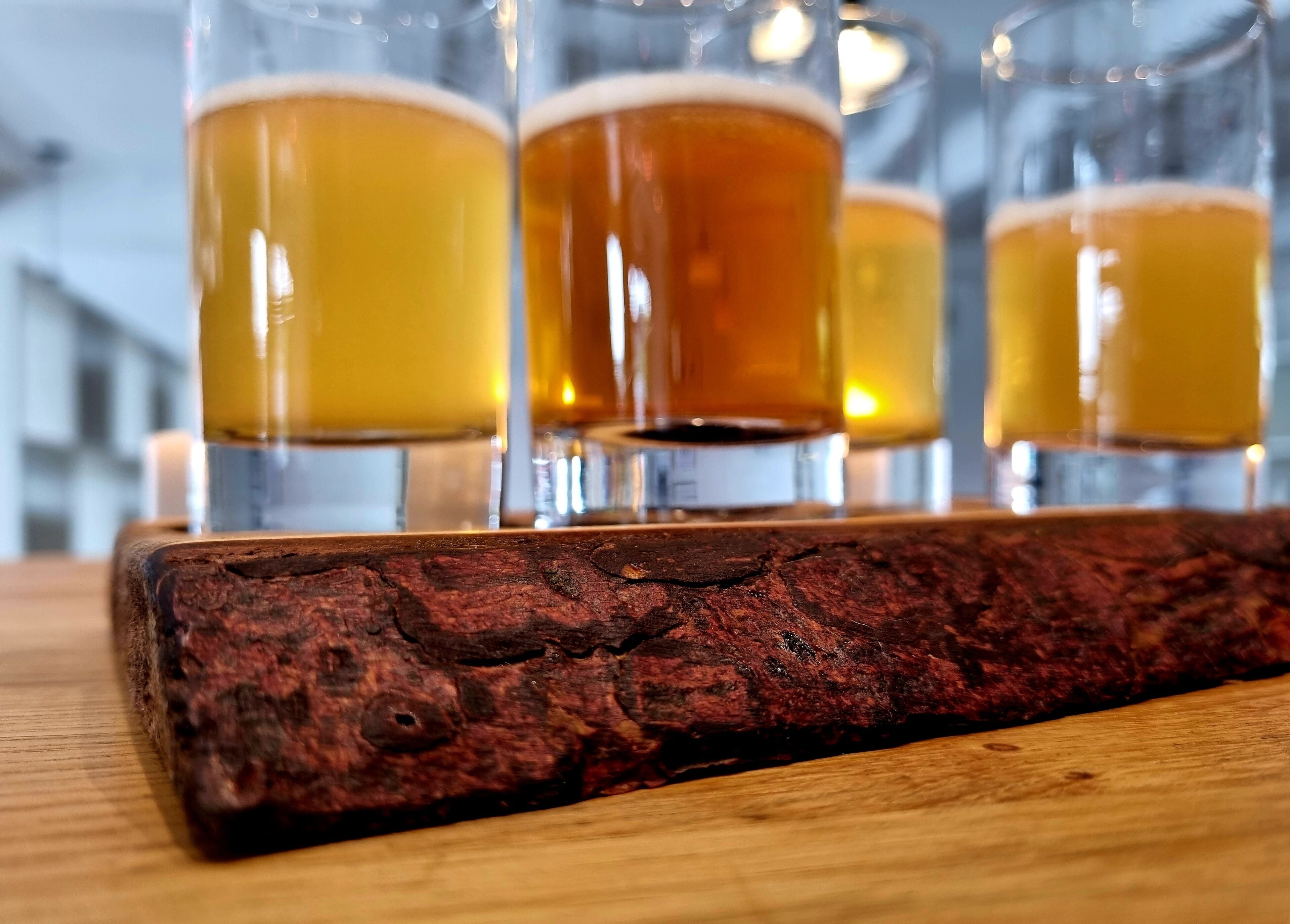 Cuatro vasos de cerveza sobre un posavasos de madera.
