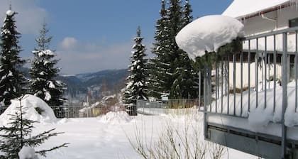 Berghotel Schwarzwaldblick Triberg