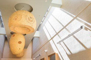 供應午餐及晚餐