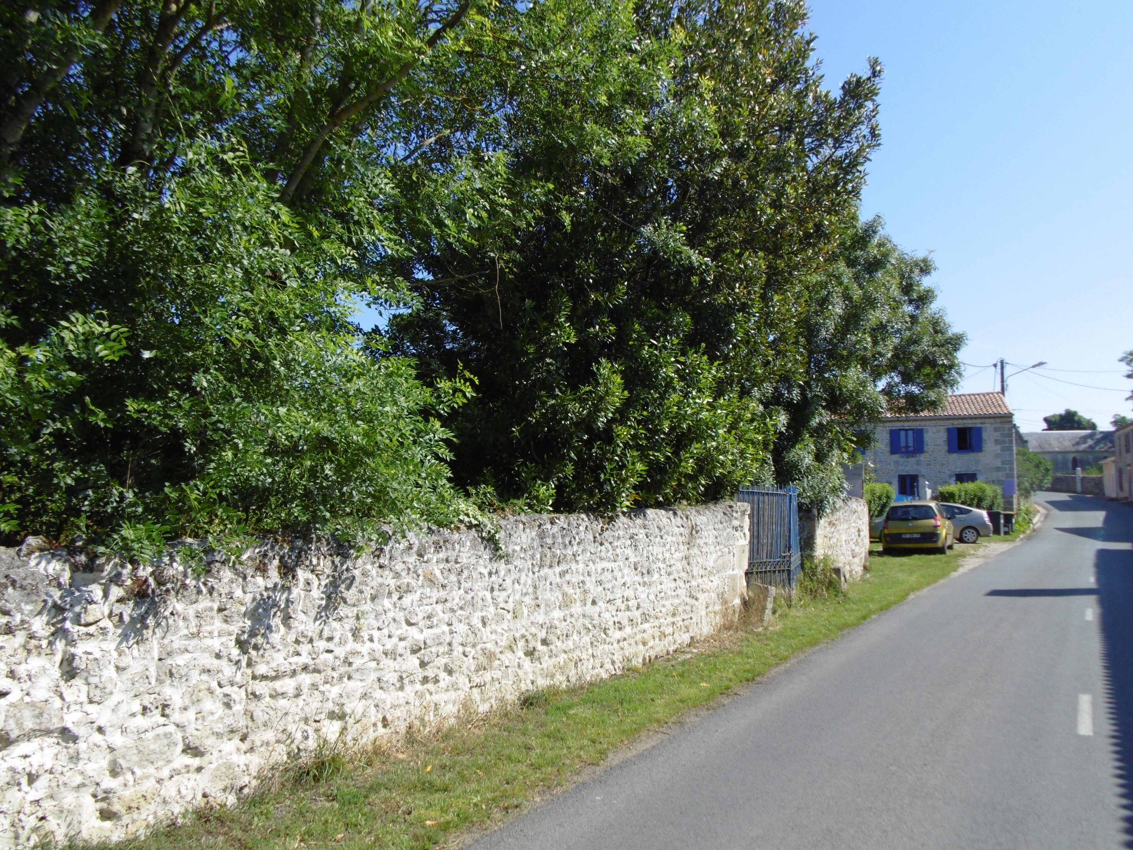 Eine schmale Straße, begrenzt von einer Steinmauer und üppigem Grün.