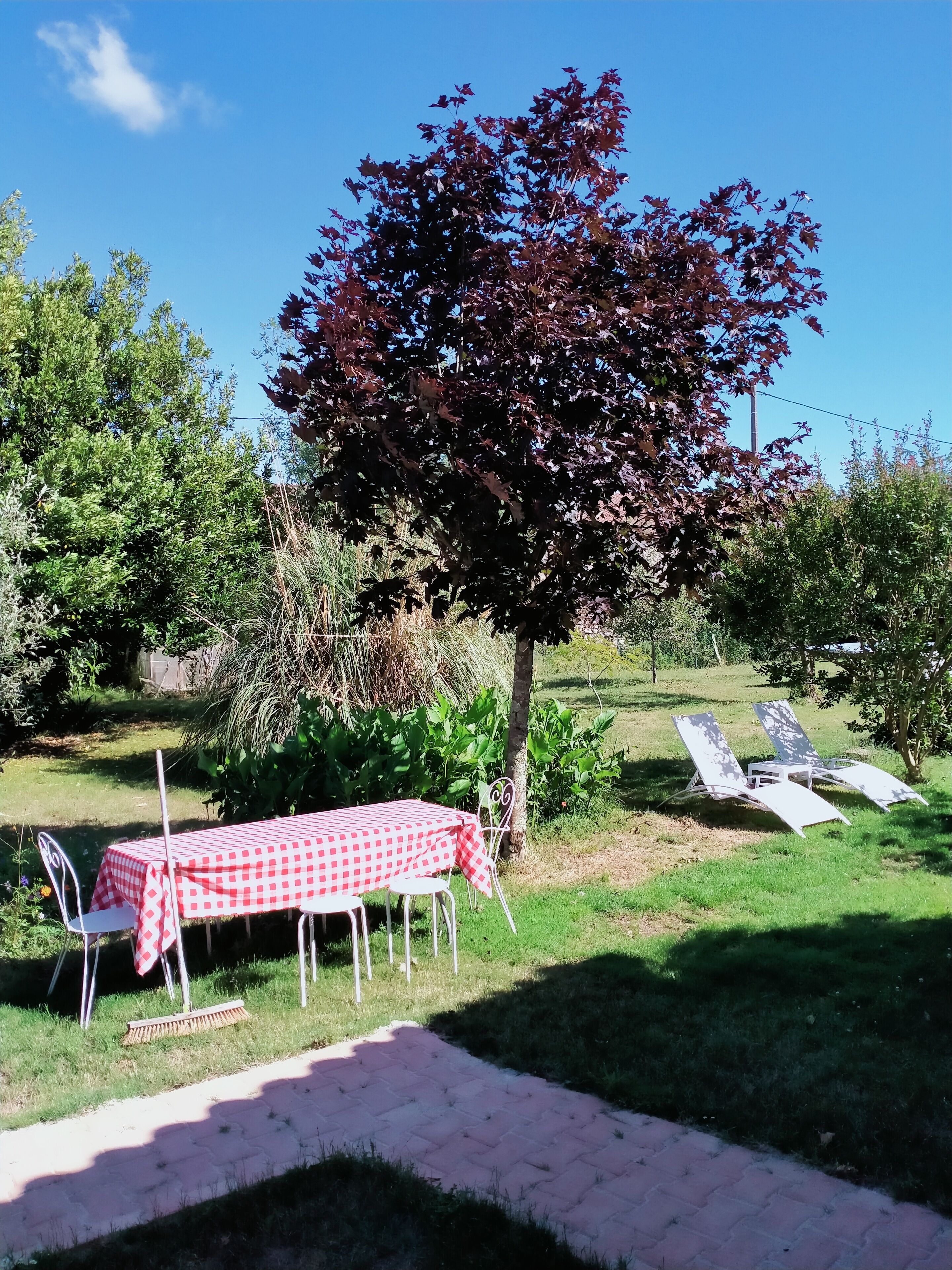 A garden with a table and chairs, a tree, and a lawn.