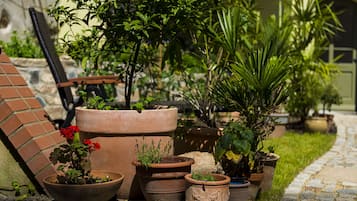 Jardin