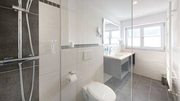 A modern bathroom with a glass shower enclosure, a toilet, a sink, and a mirror.