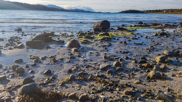 A rocky shoreline with clear water and distant mountains. - Tjeldsundbrua Camping (Tjeldsund)