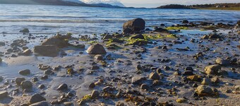 Tjeldsundbrua Camping