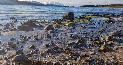 Tjeldsundbrua Camping