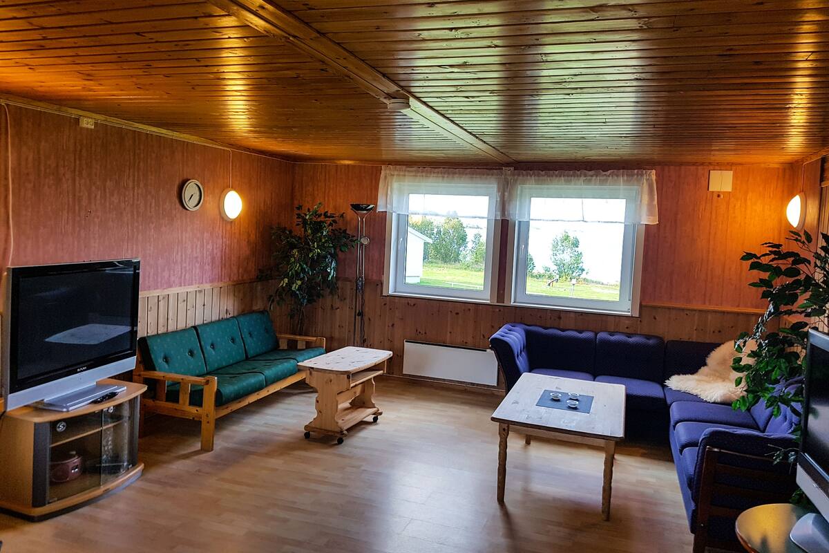 A cozy cabin interior with wooden walls, a green sofa, a blue sofa, a wooden coffee table, a TV on a stand, and a window with curtains.