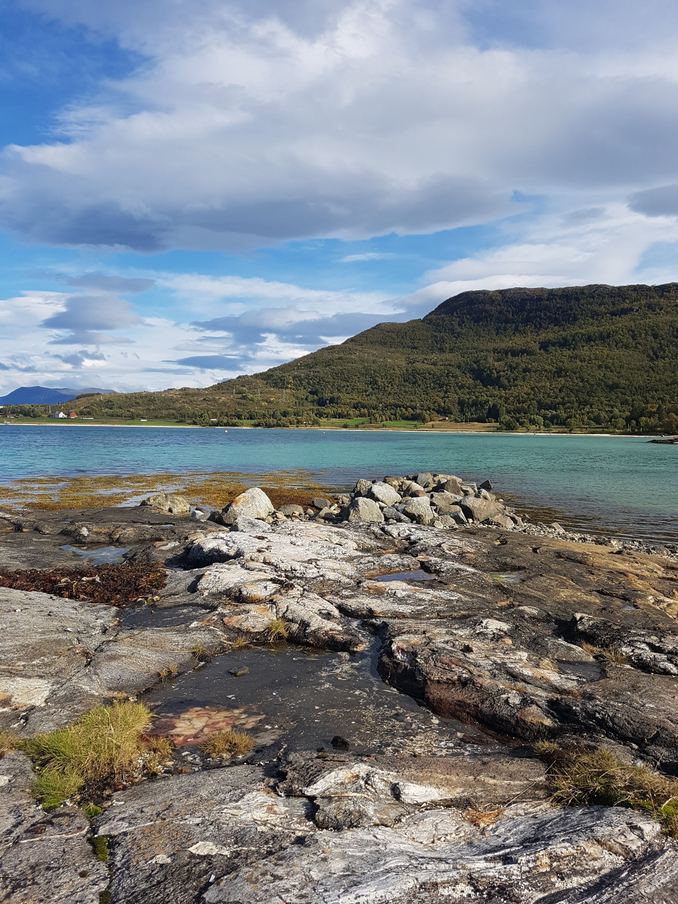A rocky shoreline with clear water and a forested hill in the background.