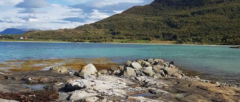 A rocky shoreline with clear water and a forested hill in the background.