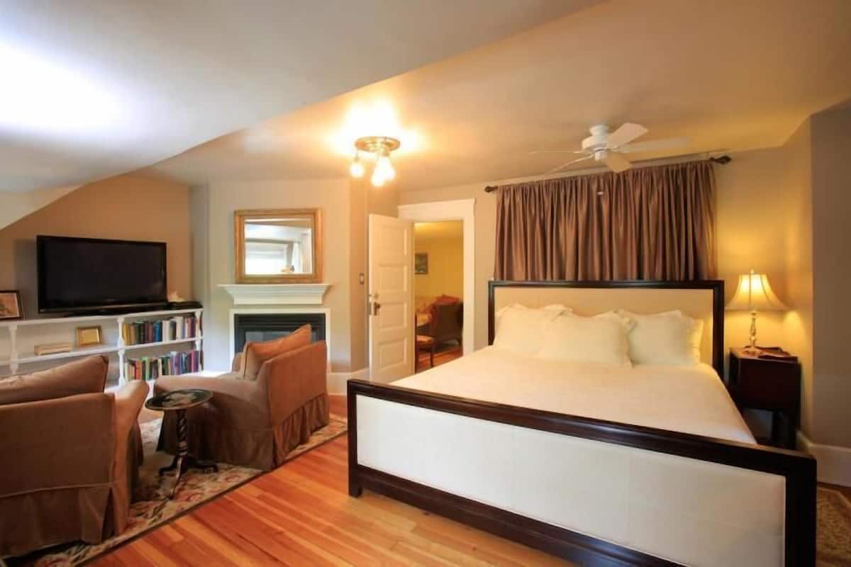 Un dormitorio con una cama grande, televisión, estantería y chimenea.