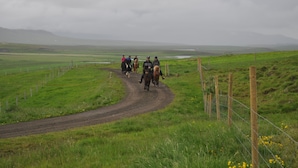 Un camino de tierra en una zona rural con un grupo de personas montando a caballo.
