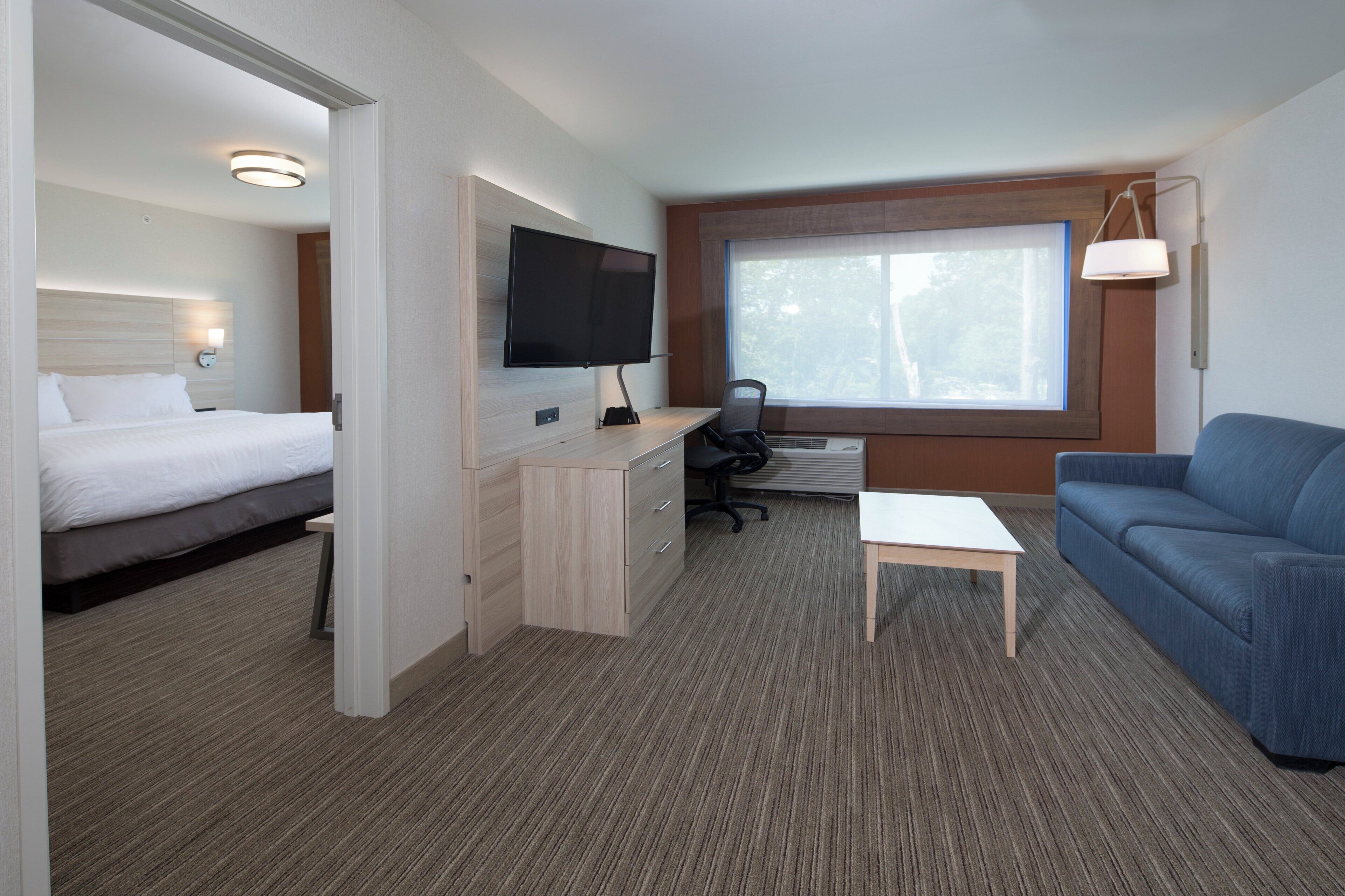 Habitación de hotel con cama, escritorio con computadora, televisor, ventana con vista a árboles y sofá azul.