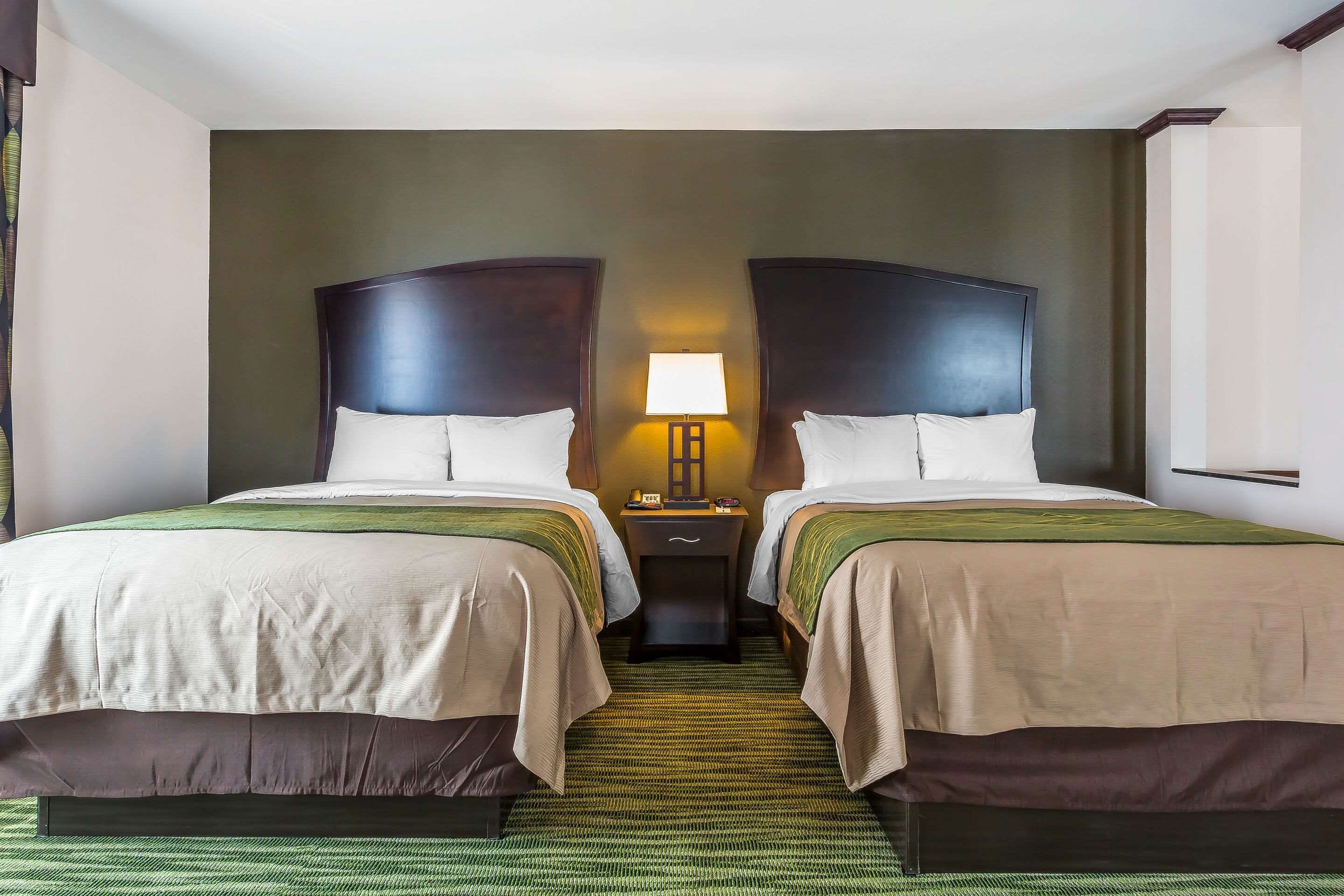 Quarto de hotel com duas camas, mesa de cabeceira com abajur e tapete verde.