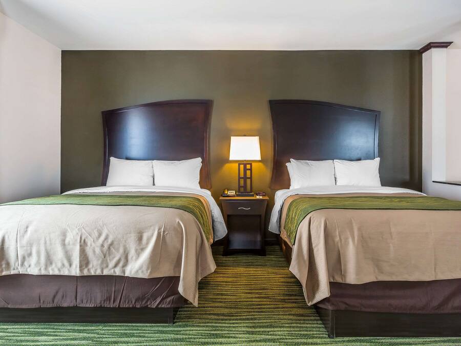 Quarto de hotel com duas camas, mesa de cabeceira com abajur e tapete verde.