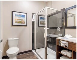 客房 | 浴室 | 淋浴设施、吹风机、毛巾